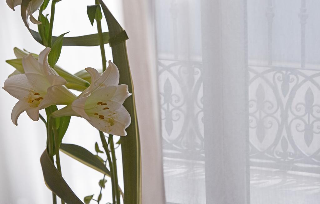 Hospes Amérigo Hotel 5*